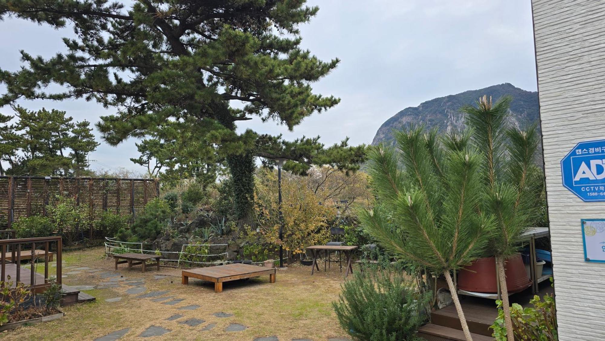 Wind Jeju Cafe & Pension Seogwipo Exterior photo